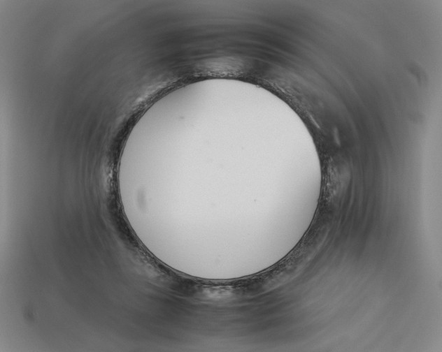 X0000113350355200910131244