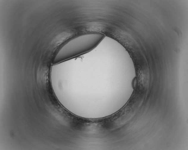 X0000113350356200910131244