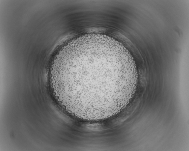 X0000113350357200910131244