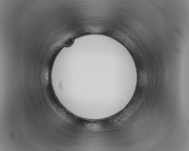 X0000113350358200910131244