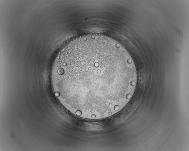 X0000113350359200910131244