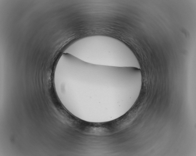 X0000113350360200910131244