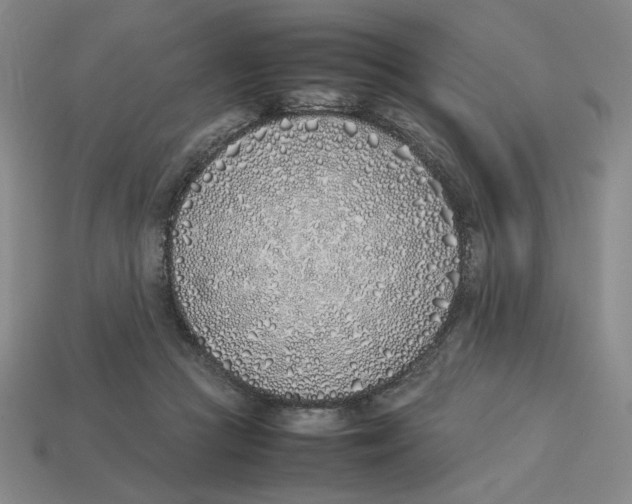 X0000113350361200910131244