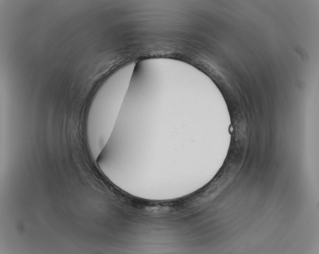 X0000113350362200910131244