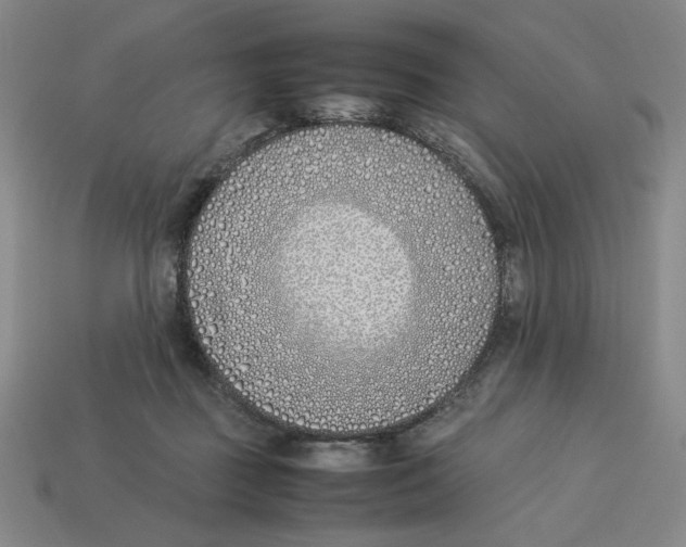 X0000113350363200910131244