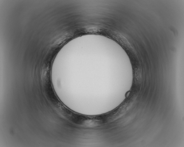 X0000113350364200910131244