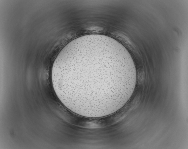 X0000113350365200910131244