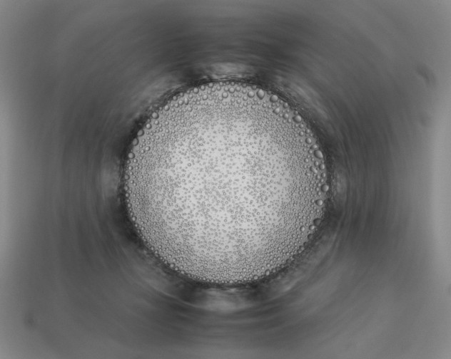 X0000113350367200910131244