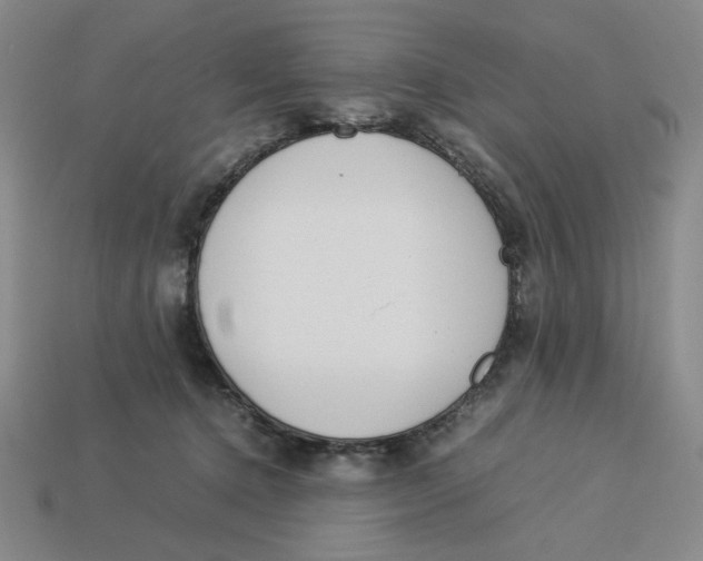 X0000113350368200910131244