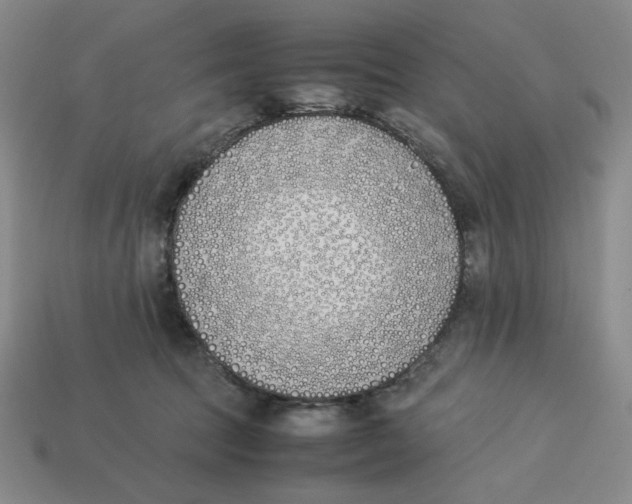 X0000113350369200910131244