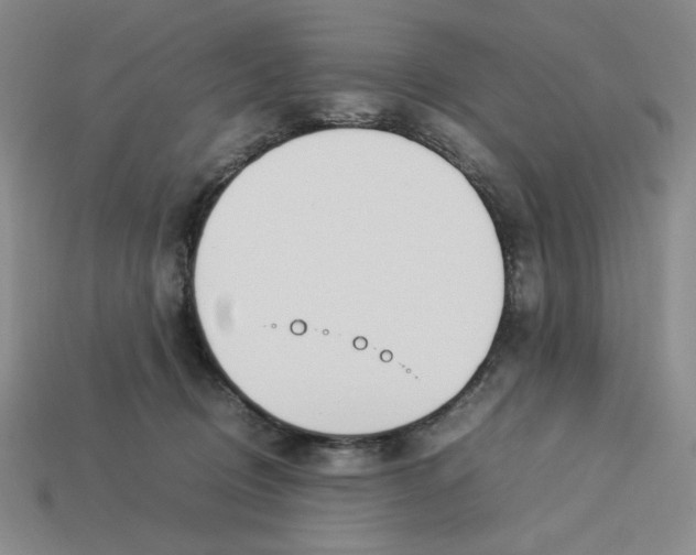 X0000113350370200910131244