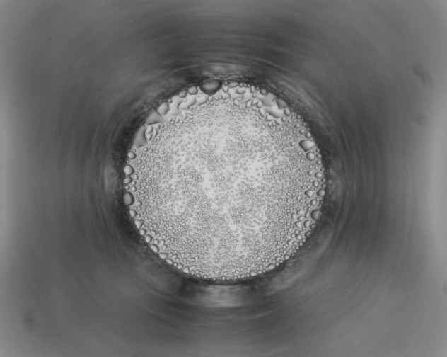 X0000113350371200910131244