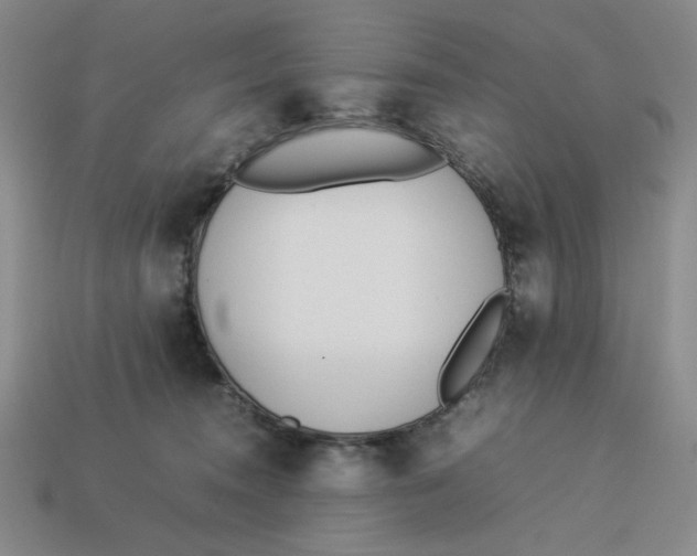 X0000113350372200910131244