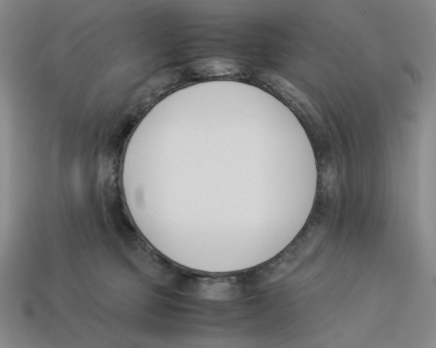 X0000113350373200910131244