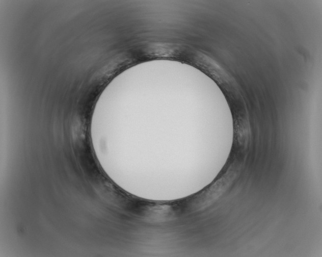 X0000113350374200910131244