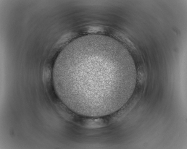 X0000113350375200910131244