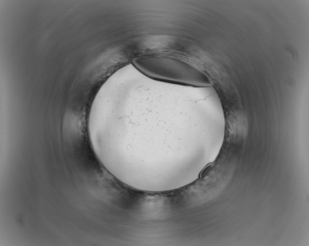 X0000113350376200910131244