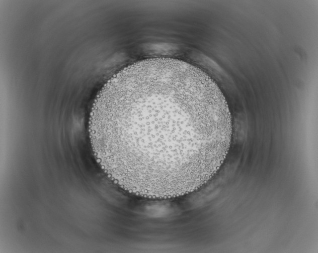 X0000113350377200910131244