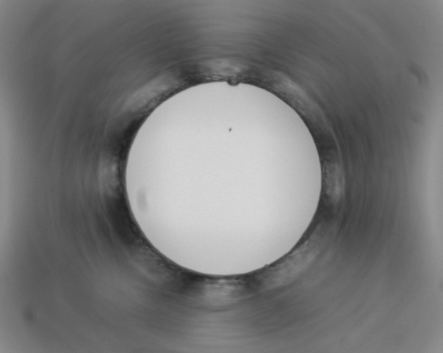 X0000113350378200910131244