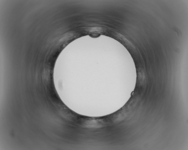 X0000113350379200910131244