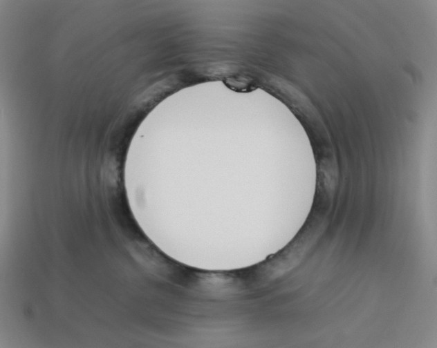 X0000113350380200910131244