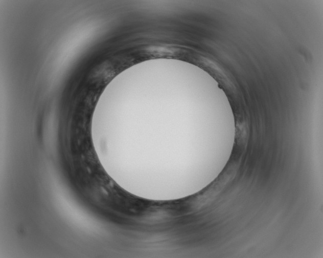 X0000113350381200910131244