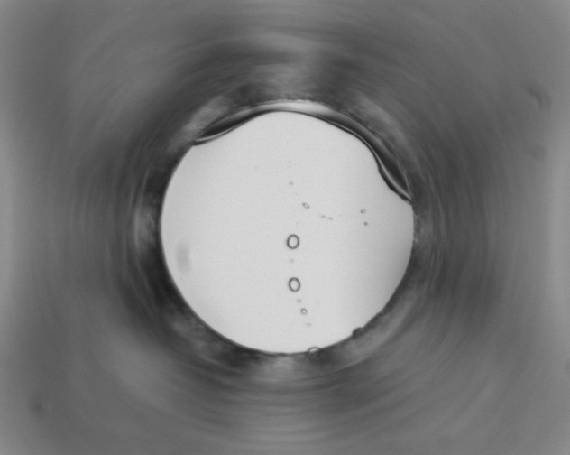 X0000113350382200910131244