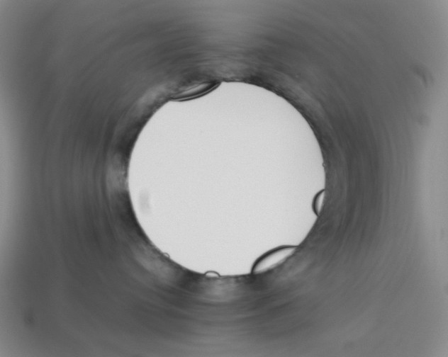 X0000113350384200910131245