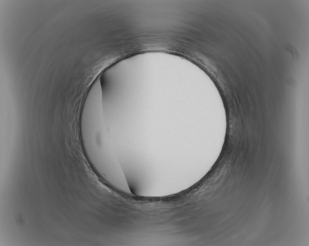 X0000113350385200910131244