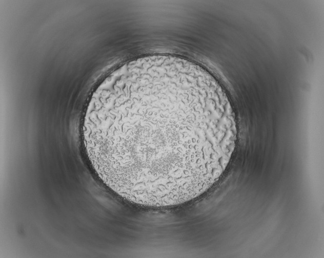 X0000113350386200910131244