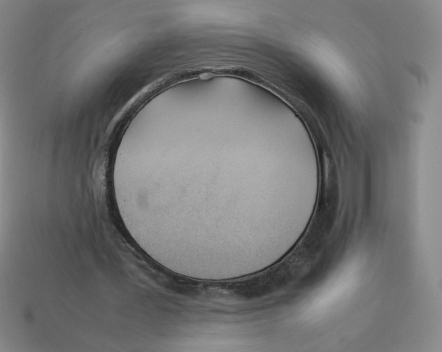 X0000113350387200910131244