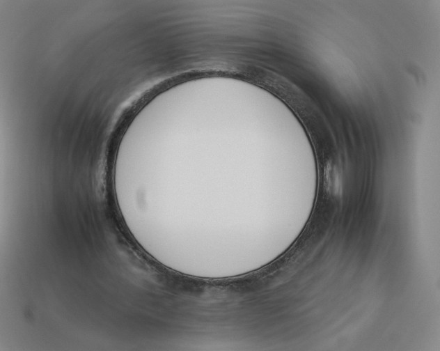 X0000113350388200910131244