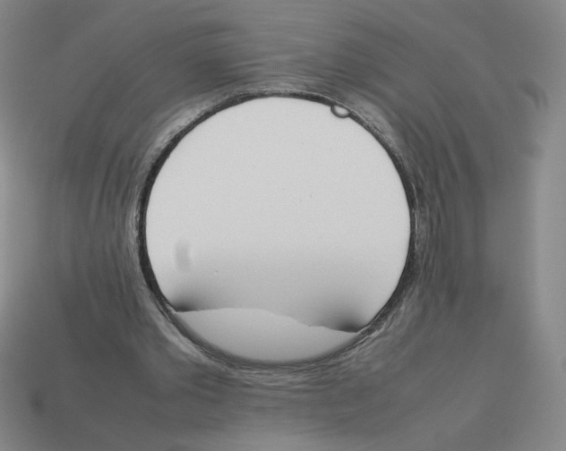 X0000113350389200910131244