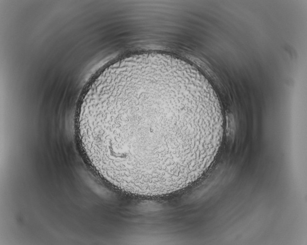 X0000113350390200910131244