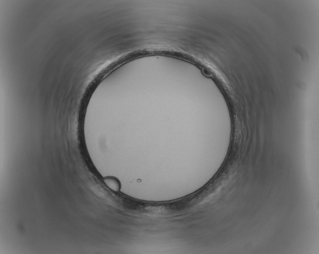 X0000113350391200910131244