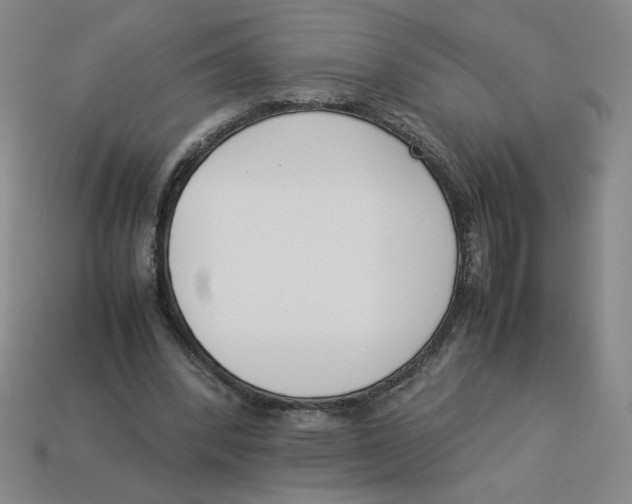 X0000113350392200910131244