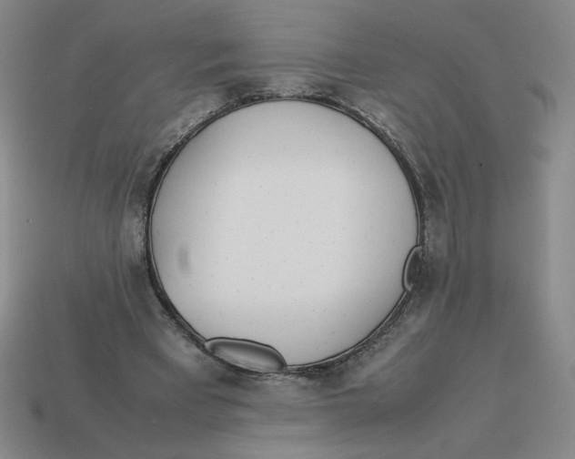 X0000113350393200910131244