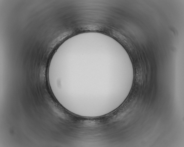 X0000113350394200910131244