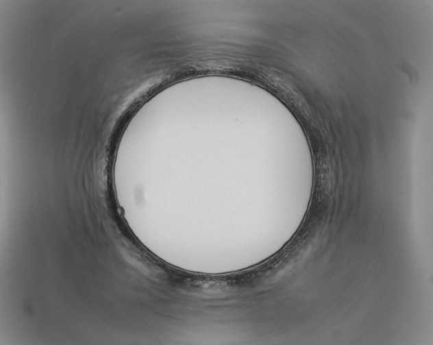 X0000113350395200910131244