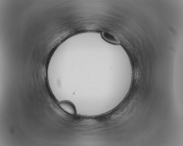 X0000113350397200910131244