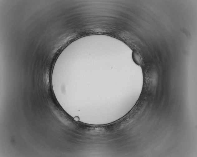 X0000113350398200910131244