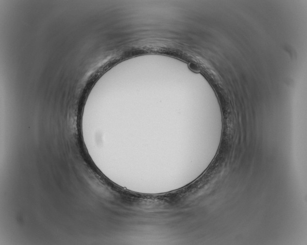 X0000113350399200910131244