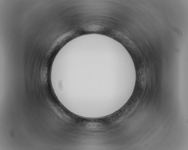 X0000113350400200910131244