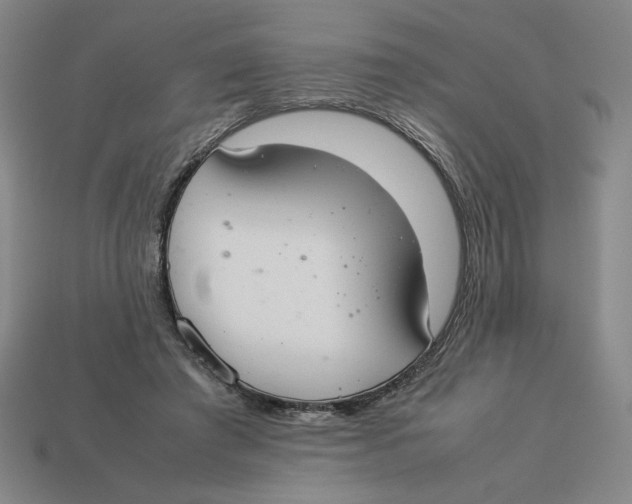 X0000113350401200910131244