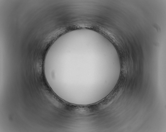 X0000113350402200910131244