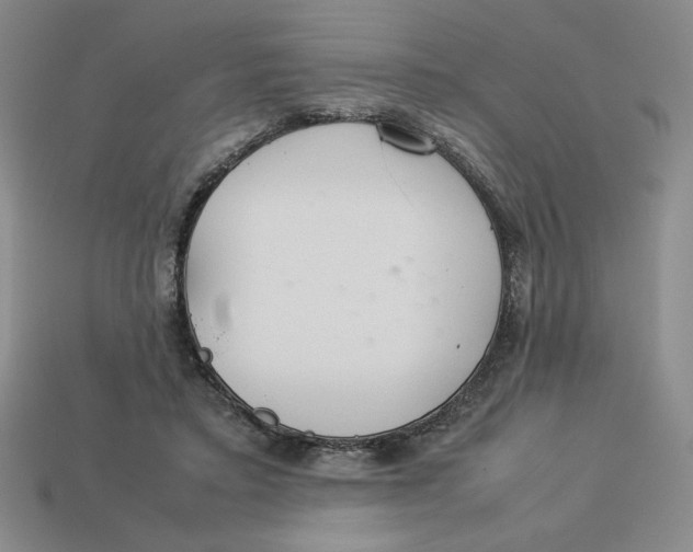 X0000113350403200910131243