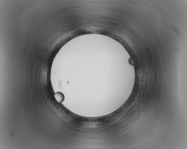 X0000113350404200910131243