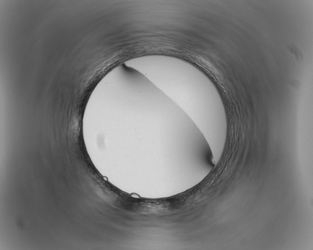 X0000113350405200910131243