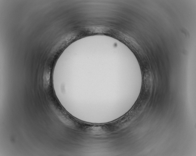 X0000113350406200910131243