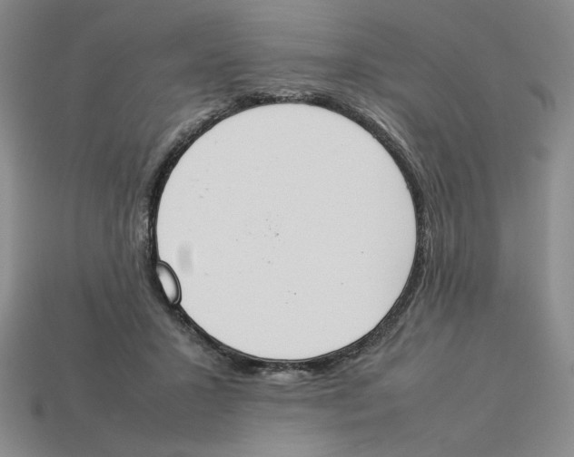 X0000113350407200910131243